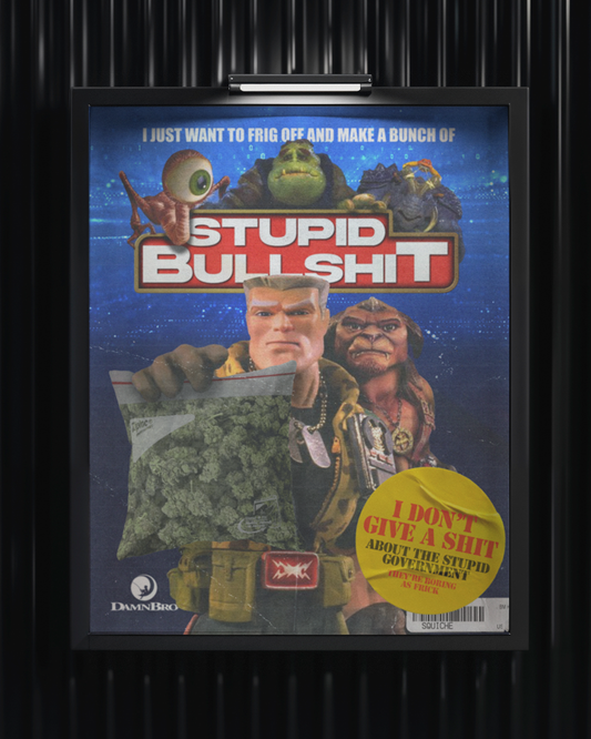 Stupid Bullshit [Frig Off Government] Print